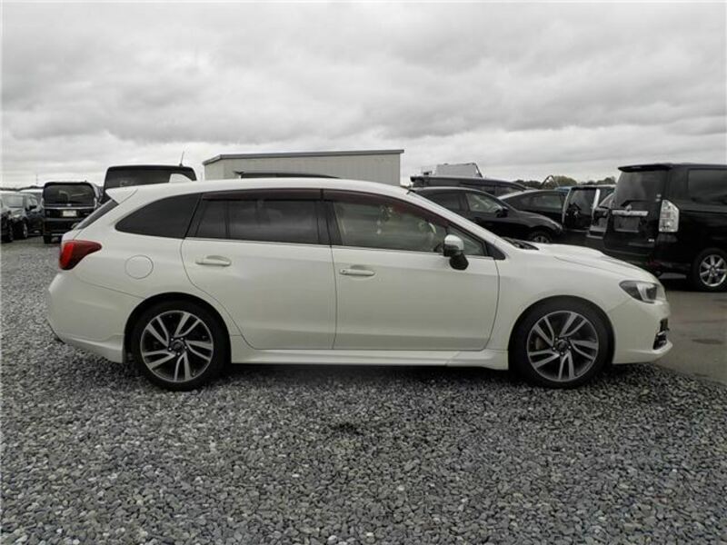 LEVORG