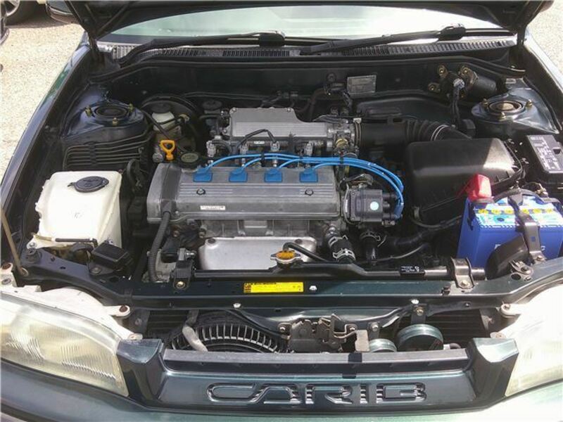 SPRINTER CARIB