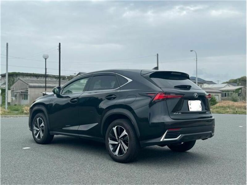 NX