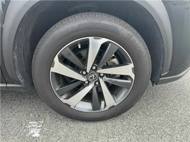 NX