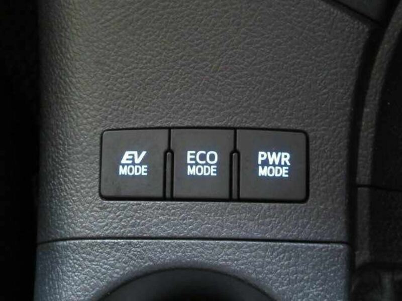 AURIS