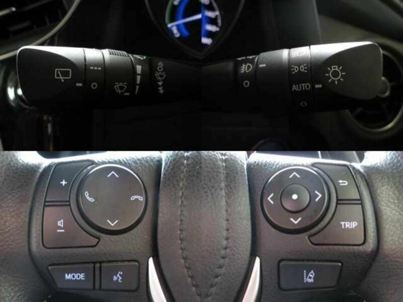 AURIS