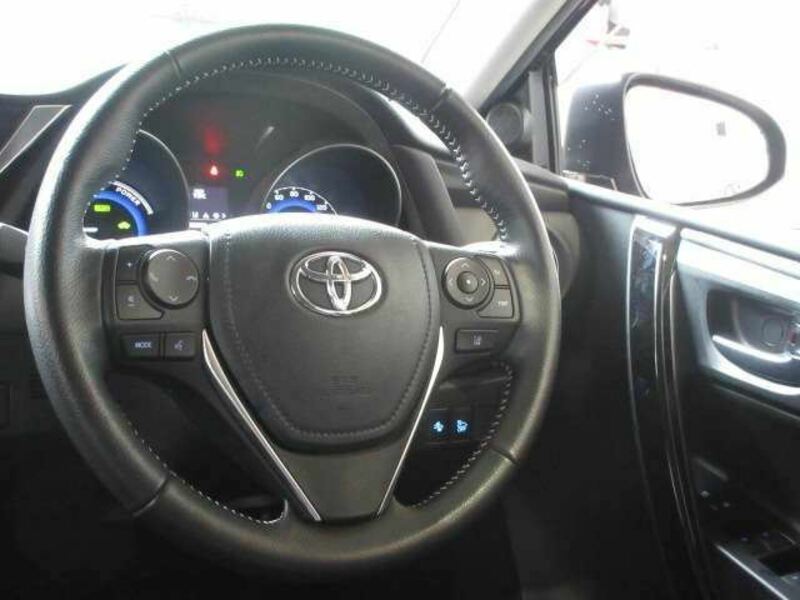 AURIS