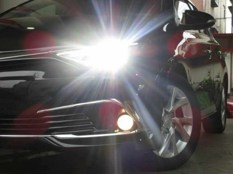 AURIS