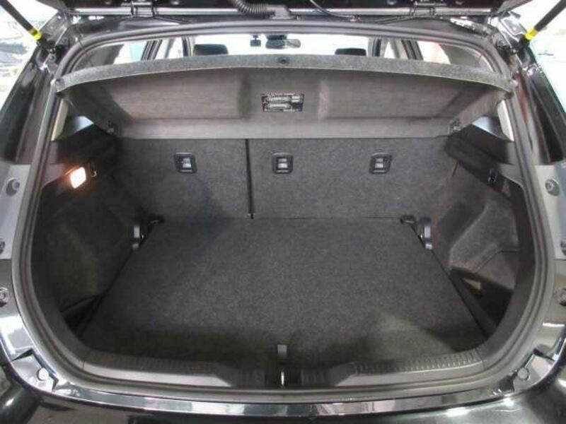 AURIS