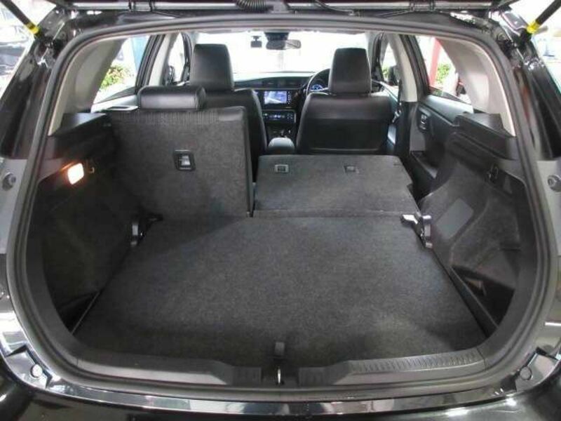 AURIS