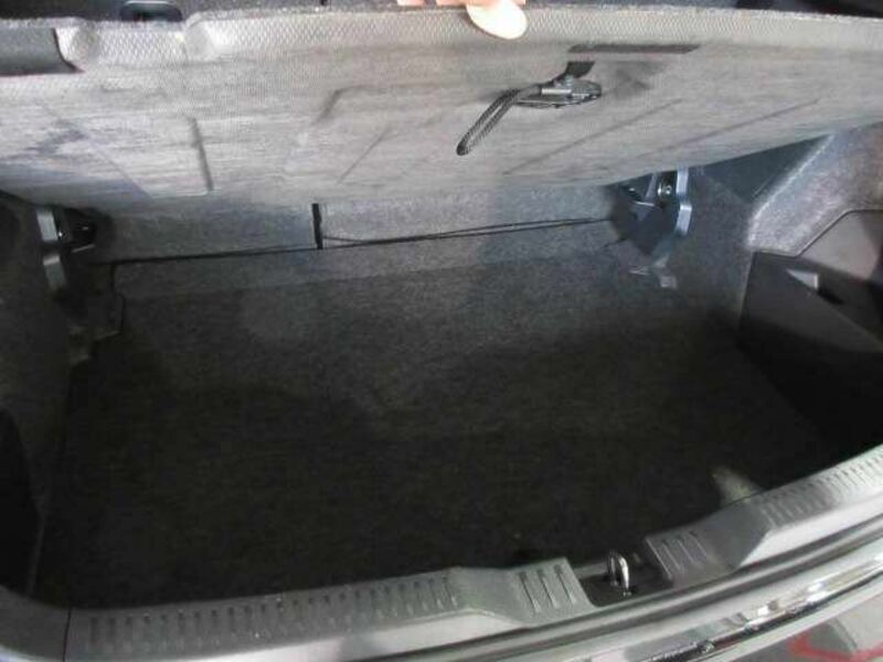 AURIS