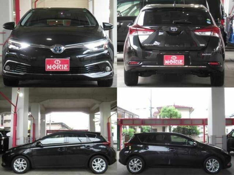 AURIS