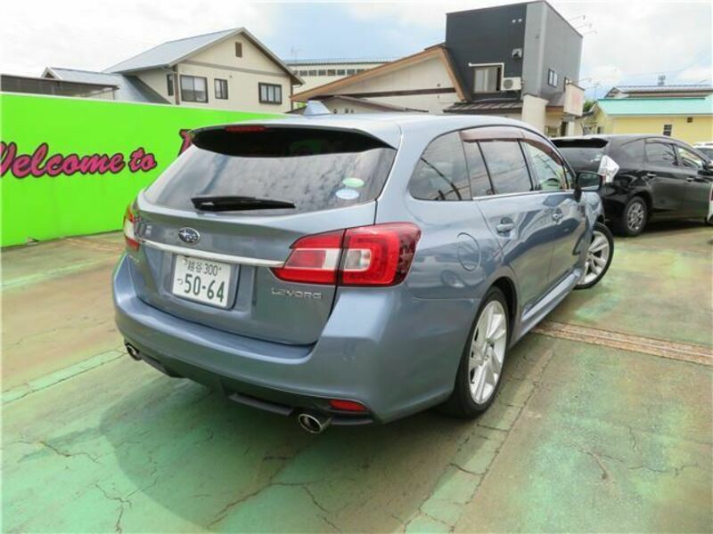 LEVORG