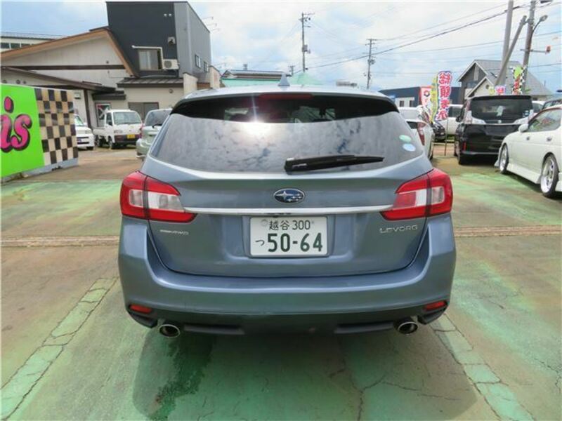 LEVORG