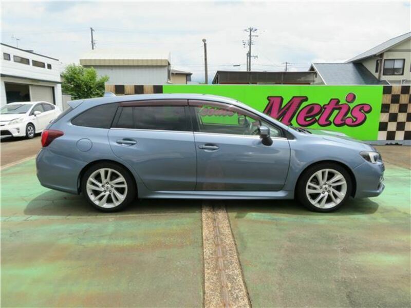 LEVORG