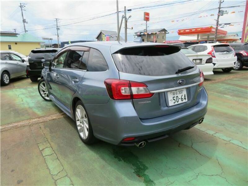 LEVORG