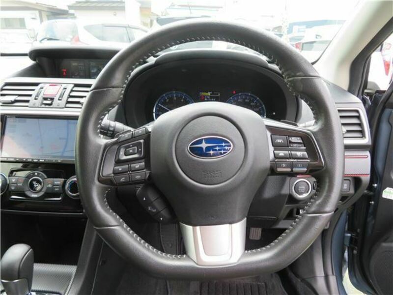 LEVORG