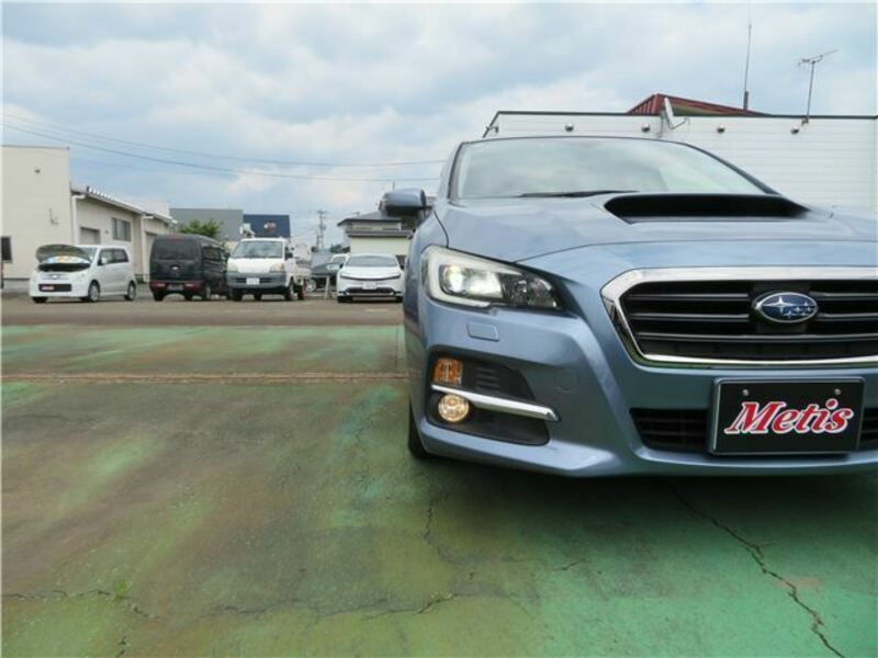 LEVORG