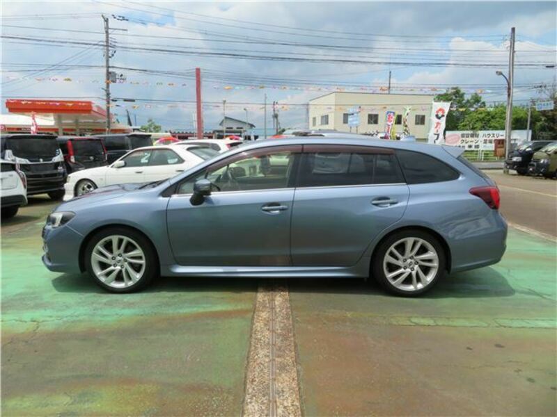 LEVORG