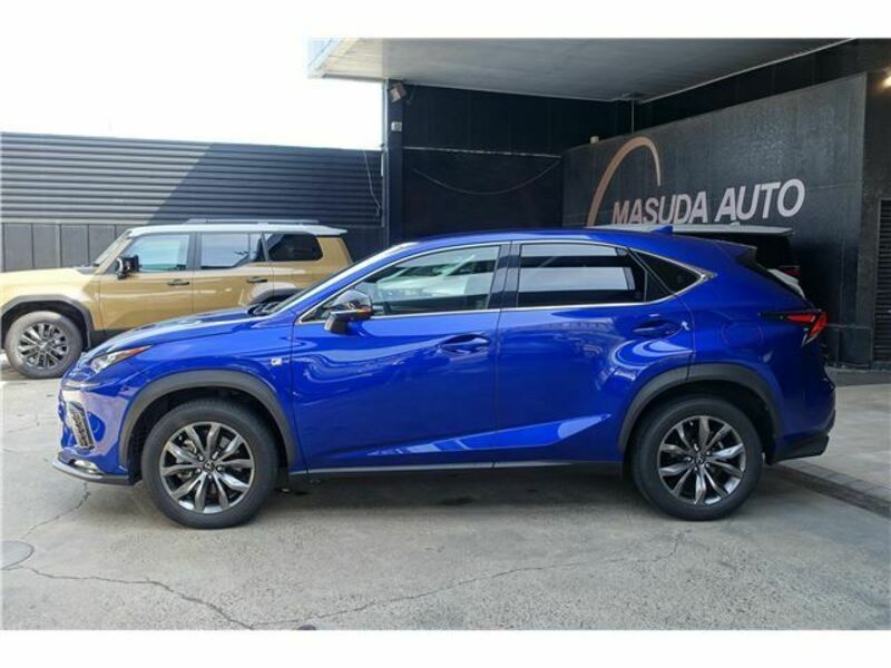 NX