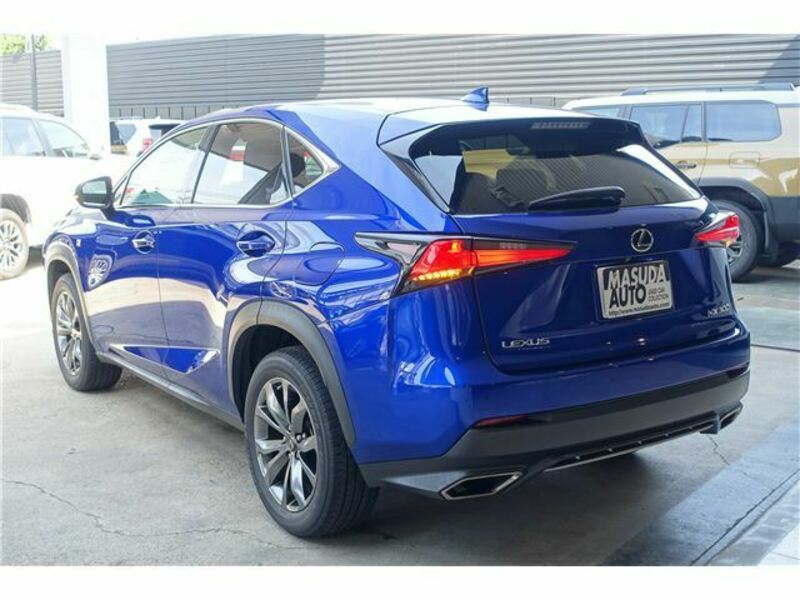 NX