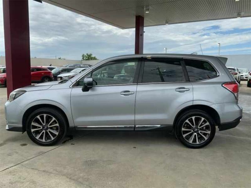 FORESTER