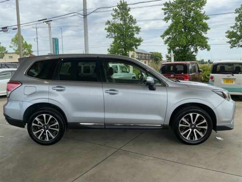 FORESTER