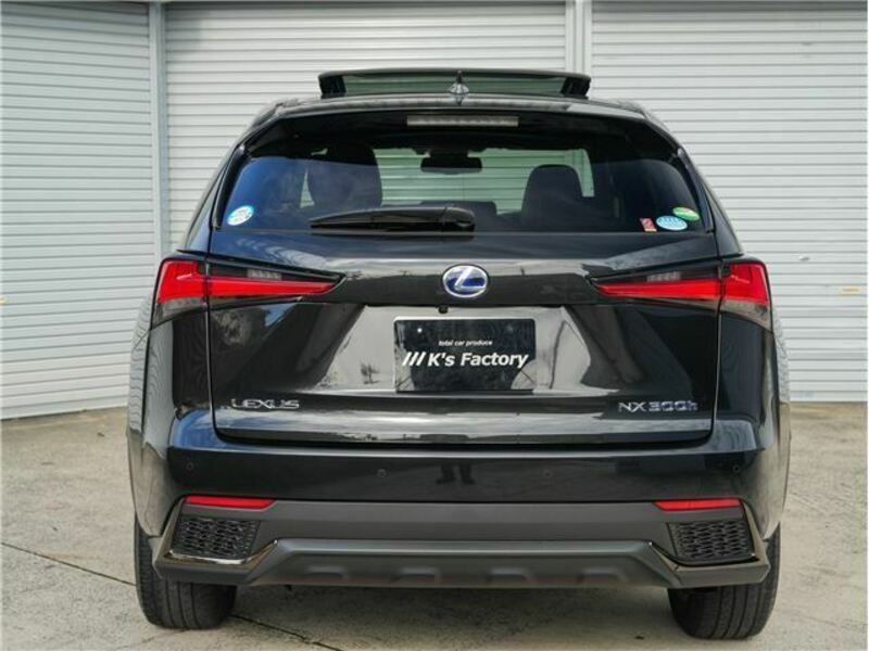 NX