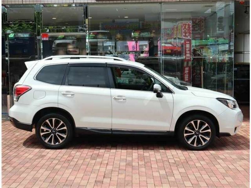 FORESTER