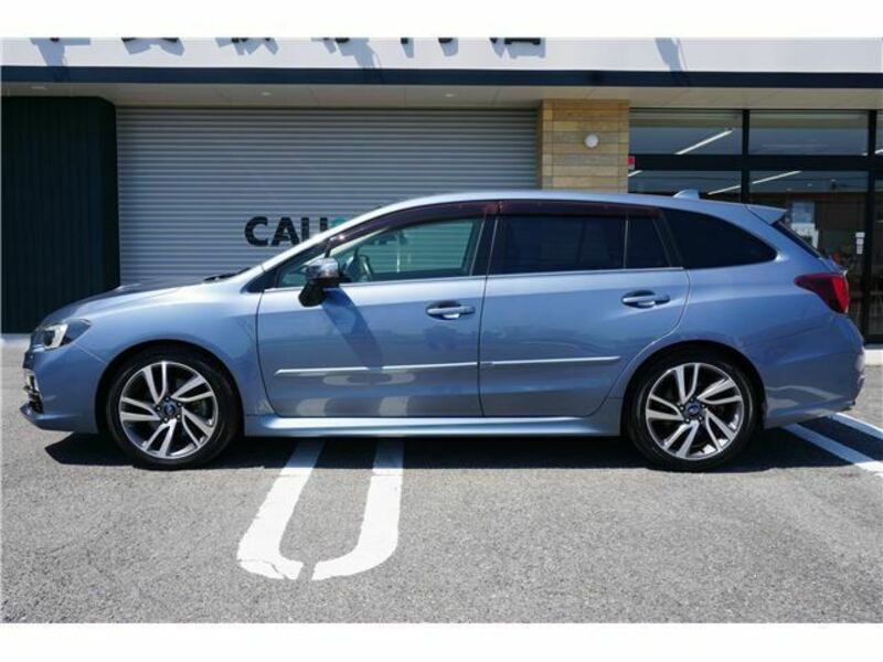 LEVORG