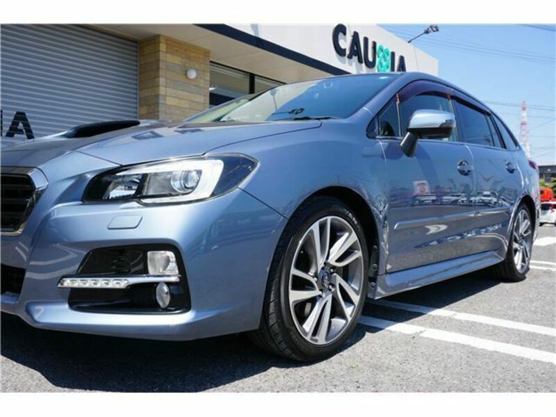 LEVORG