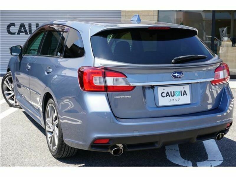 LEVORG