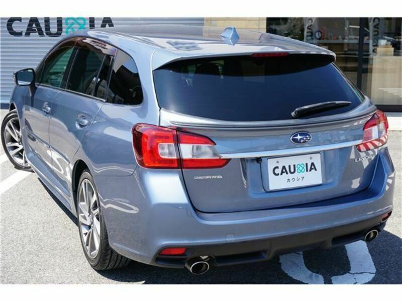 LEVORG