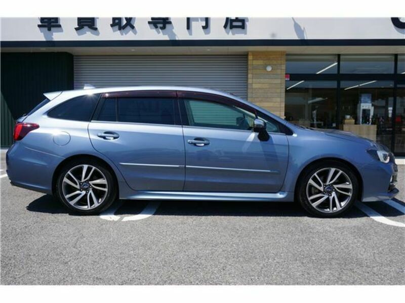 LEVORG