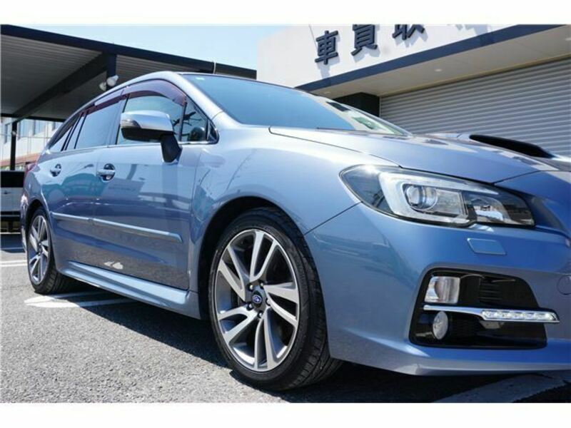 LEVORG