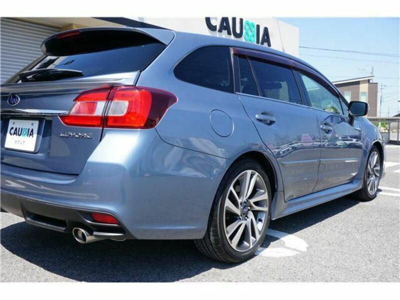 LEVORG