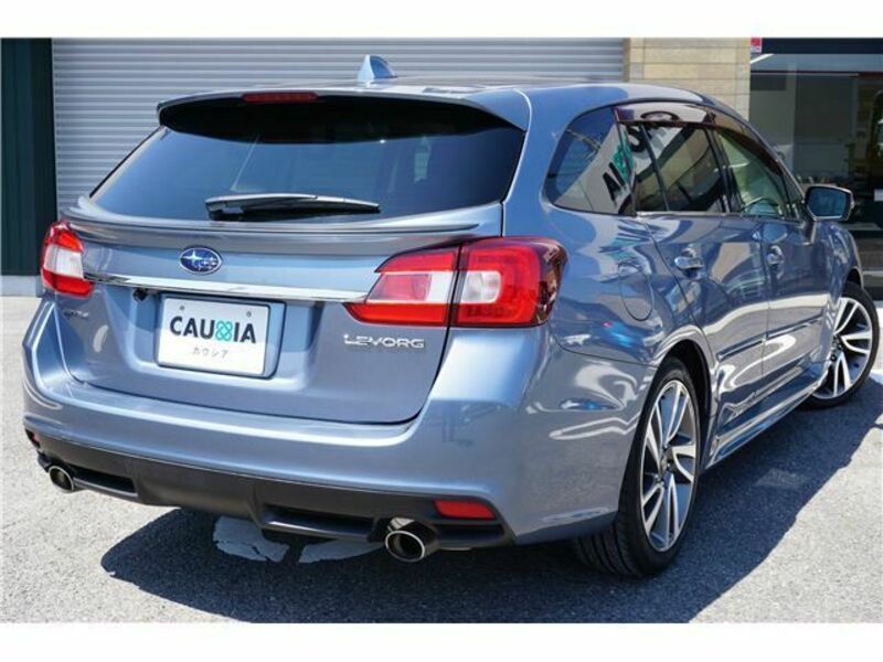 LEVORG