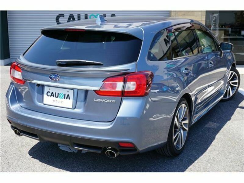 LEVORG