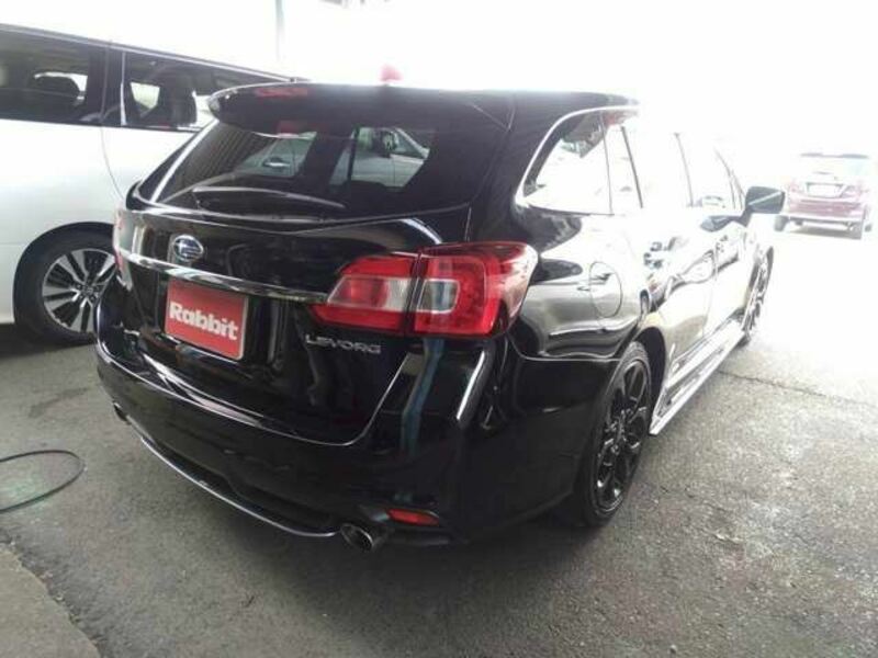 LEVORG