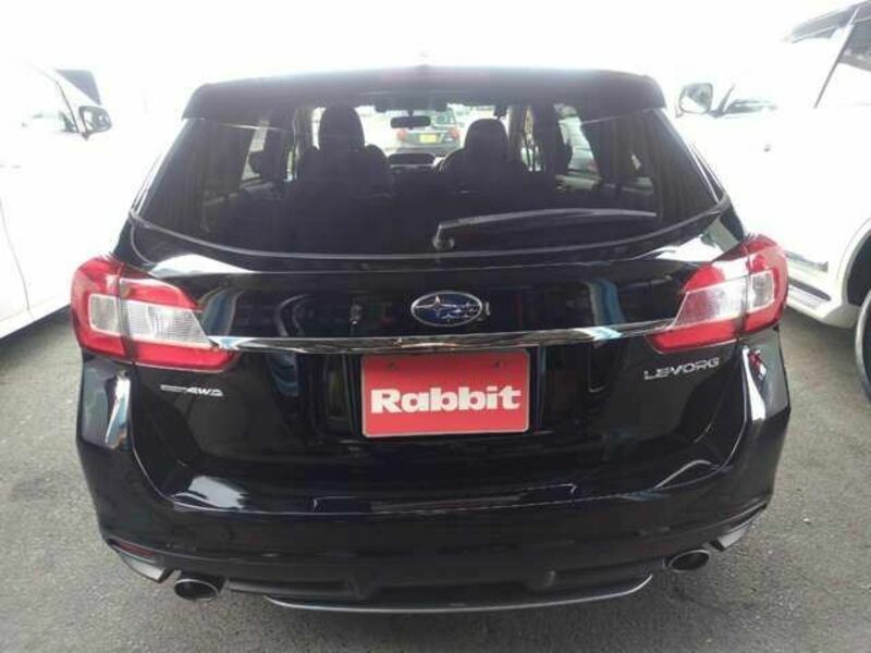 LEVORG