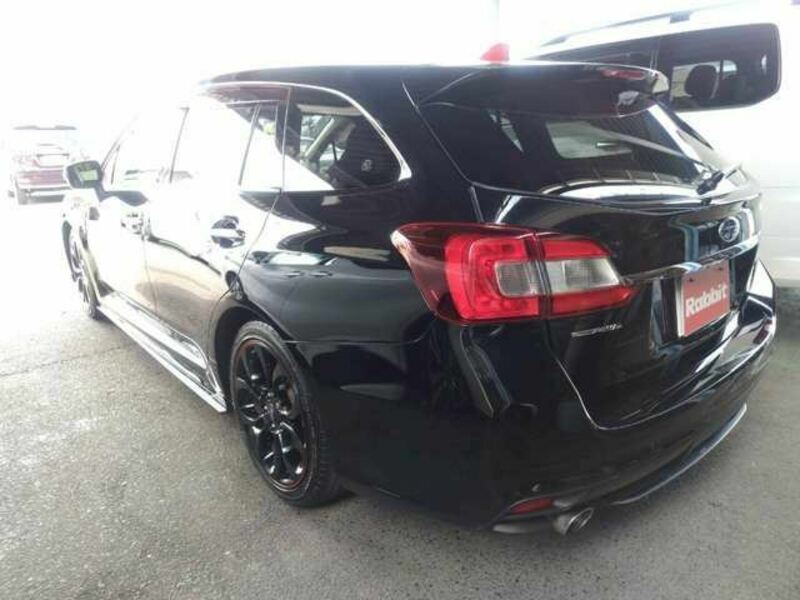LEVORG
