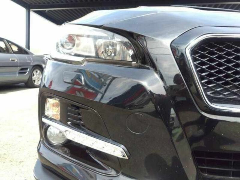 LEVORG