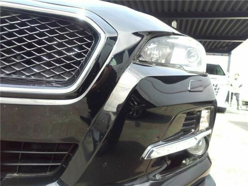 LEVORG