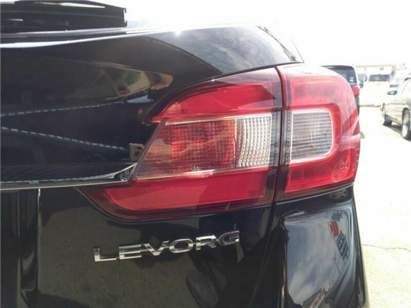 LEVORG