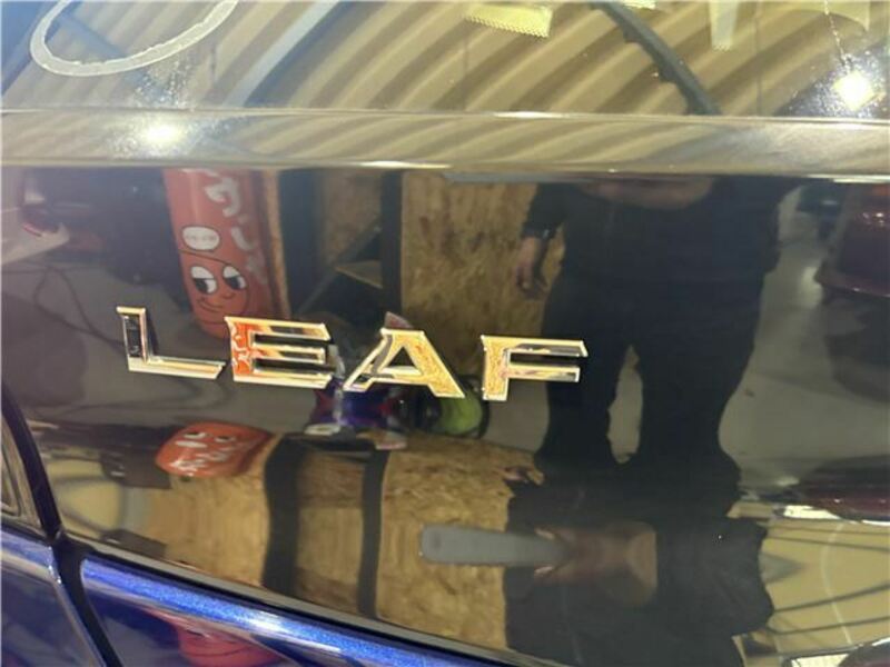 LEAF