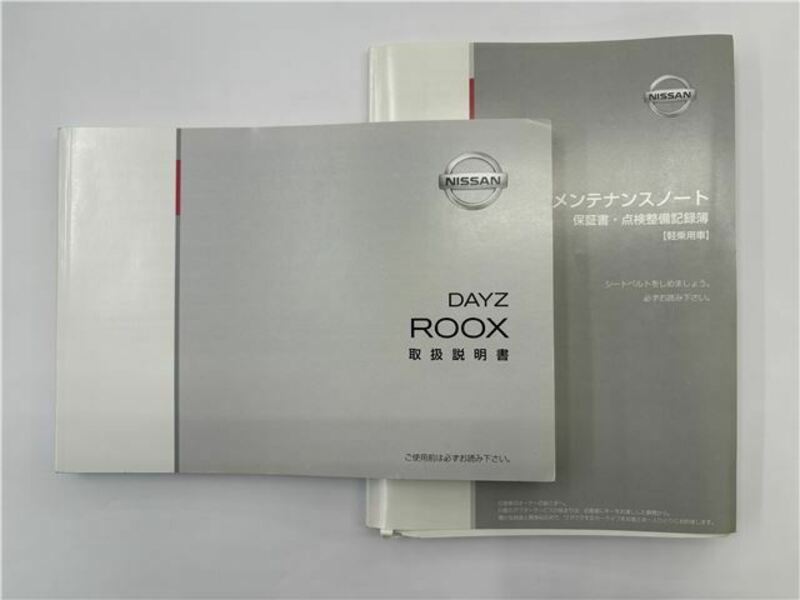 DAYZ ROOX