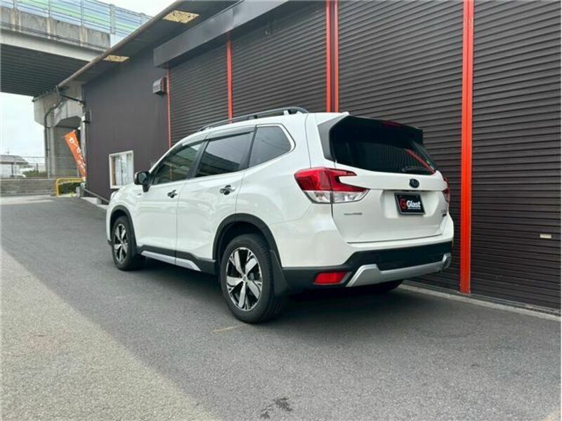 FORESTER
