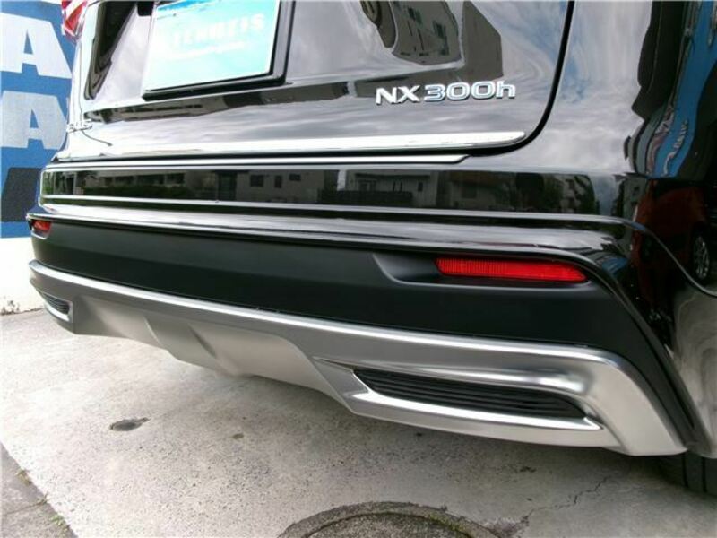 NX