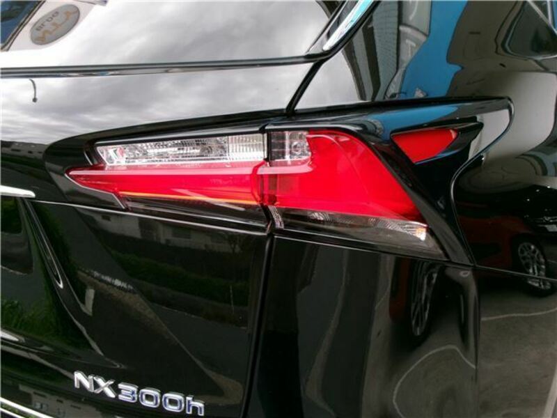 NX