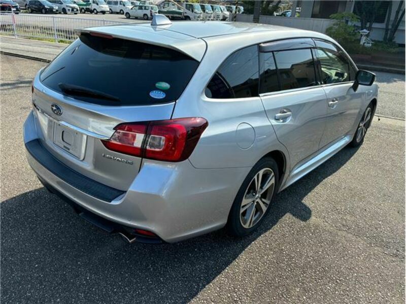 LEVORG