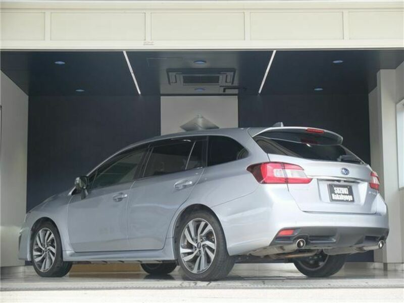 LEVORG