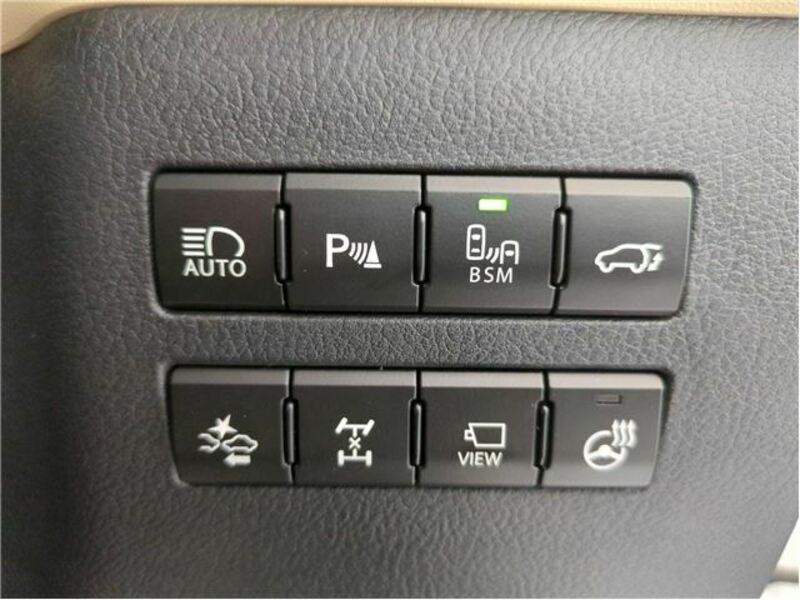 NX