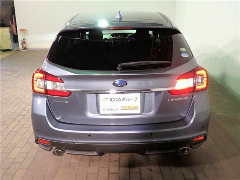 LEVORG