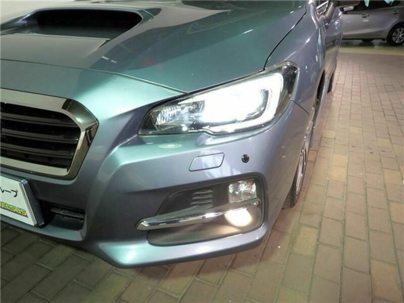 LEVORG
